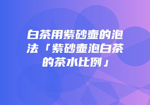 白茶用紫砂壶的泡法「紫砂壶泡白茶的茶水比例」