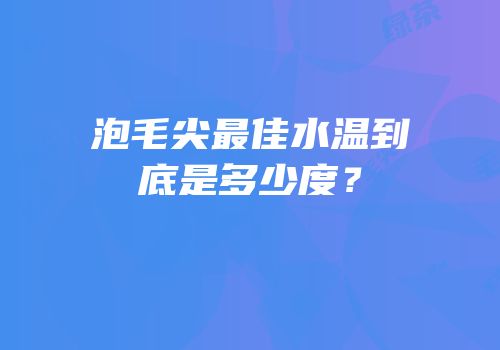 泡毛尖最佳水温到底是多少度？