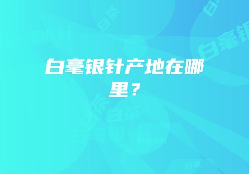 白毫银针产地在哪里？