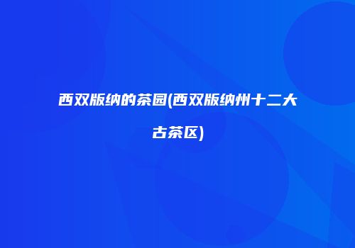 西双版纳的茶园(西双版纳州十二大古茶区)