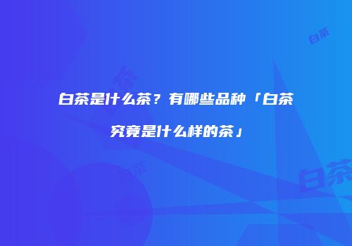 白茶是什么茶？有哪些品种「白茶究竟是什么样的茶」