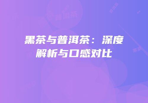 黑茶与普洱茶：深度解析与口感对比