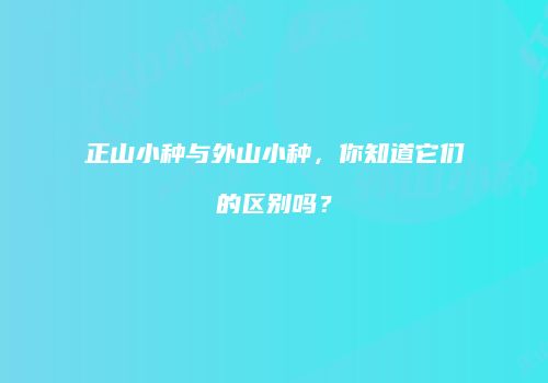 正山小种与外山小种，你知道它们的区别吗？