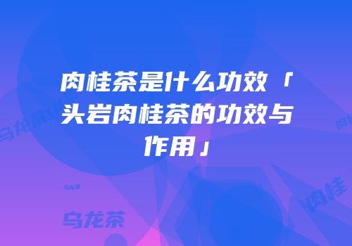 肉桂茶是什么功效「头岩肉桂茶的功效与作用」