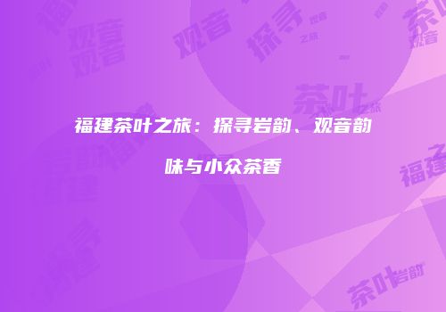 福建茶叶之旅：探寻岩韵、观音韵味与小众茶香