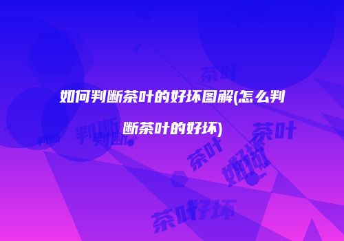 如何判断茶叶的好坏图解(怎么判断茶叶的好坏)