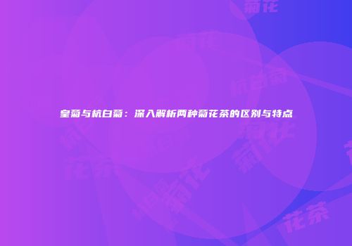 皇菊与杭白菊：深入解析两种菊花茶的区别与特点