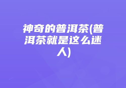 神奇的普洱茶(普洱茶就是这么迷人)