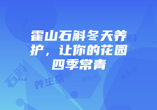 霍山石斛冬天养护，让你的花园四季常青