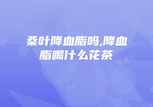 桑叶降血脂吗,降血脂喝什么花茶