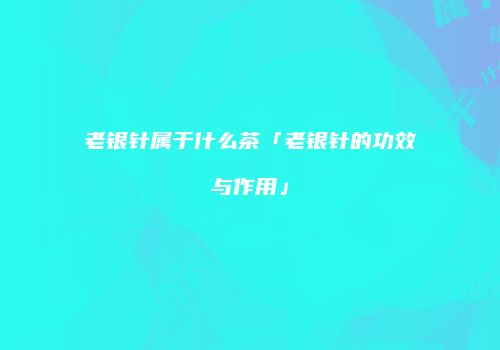 老银针属于什么茶「老银针的功效与作用」