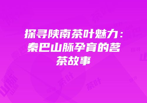 探寻陕南茶叶魅力：秦巴山脉孕育的茗茶故事