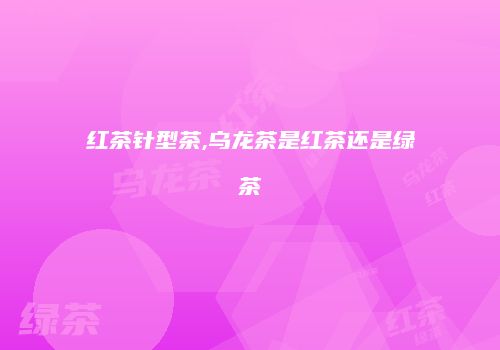 红茶针型茶,乌龙茶是红茶还是绿茶