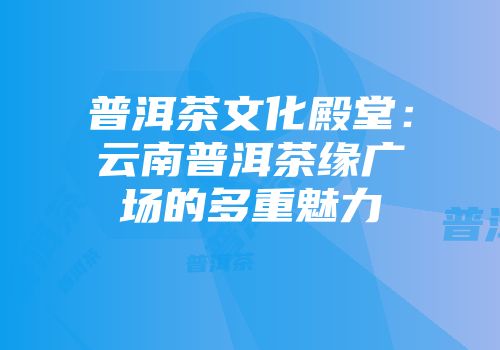 普洱茶文化殿堂：云南普洱茶缘广场的多重魅力