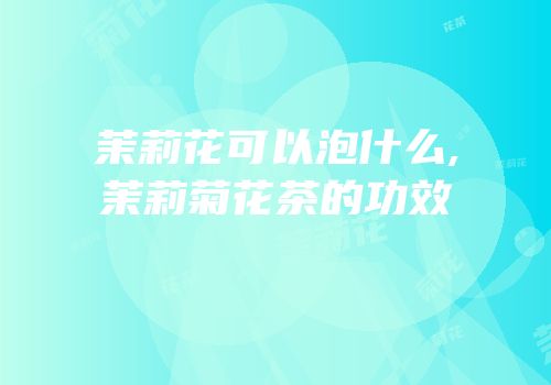 茉莉花可以泡什么,茉莉菊花茶的功效