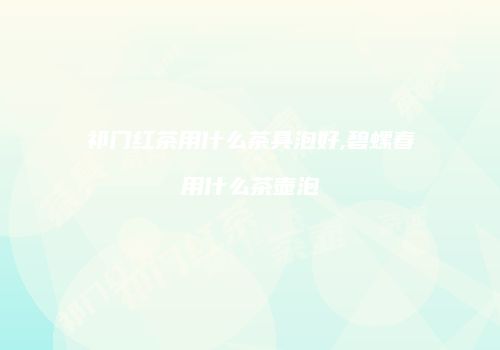 祁门红茶用什么茶具泡好,碧螺春用什么茶壶泡