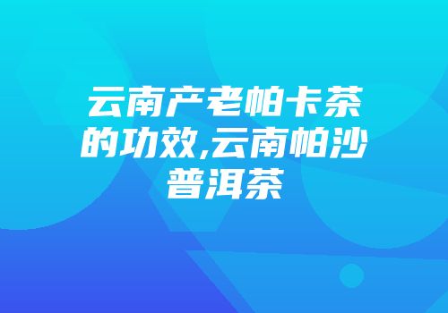 云南产老帕卡茶的功效,云南帕沙普洱茶