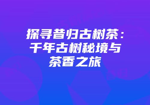 探寻昔归古树茶：千年古树秘境与茶香之旅