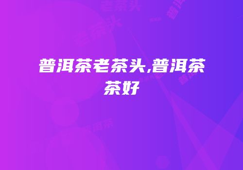 普洱茶老茶头,普洱茶茶好