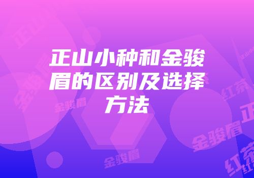 正山小种和金骏眉的区别及选择方法