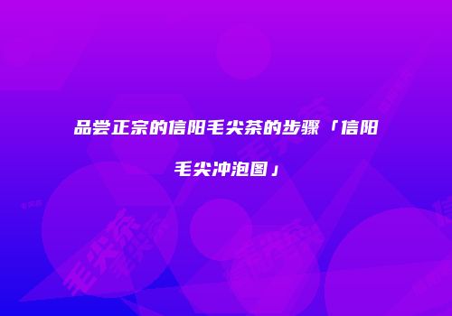 品尝正宗的信阳毛尖茶的步骤「信阳毛尖冲泡图」