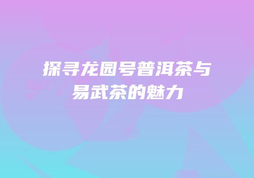 探寻龙园号普洱茶与易武茶的魅力