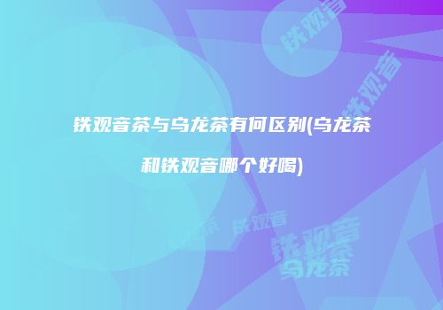 铁观音茶与乌龙茶有何区别(乌龙茶和铁观音哪个好喝)