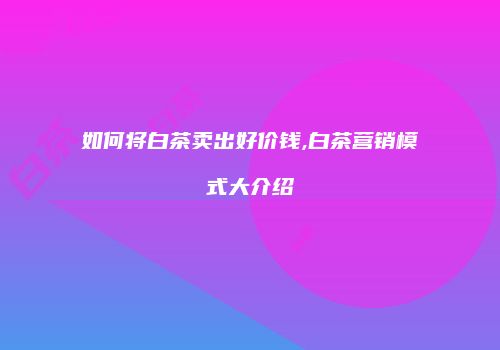 如何将白茶卖出好价钱,白茶营销模式大介绍