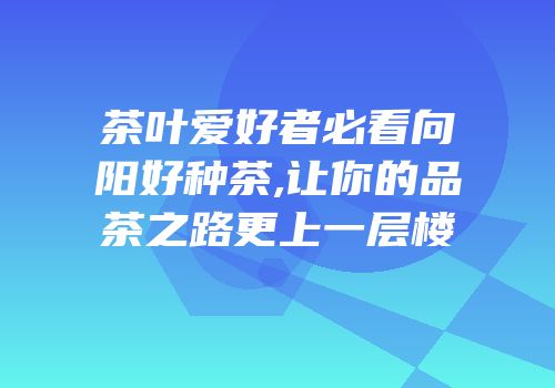 茶叶爱好者必看向阳好种茶,让你的品茶之路更上一层楼