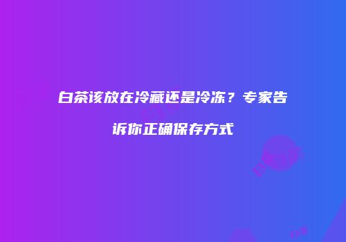 白茶该放在冷藏还是冷冻？专家告诉你正确保存方式