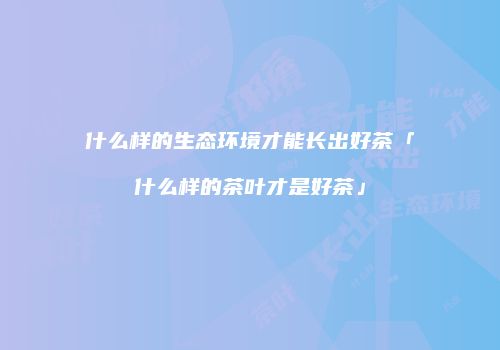 什么样的生态环境才能长出好茶「什么样的茶叶才是好茶」