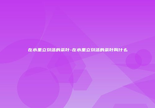 在水里立刻活的茶叶-在水里立刻活的茶叶叫什么