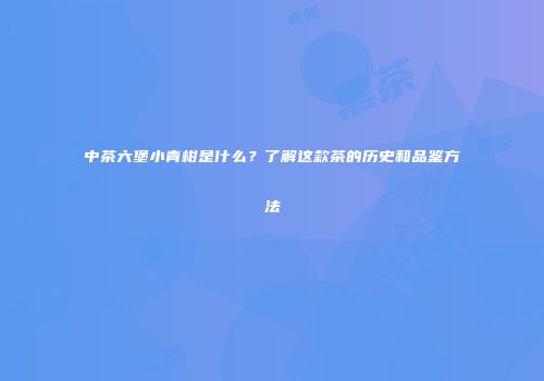 中茶六堡小青柑是什么？了解这款茶的历史和品鉴方法