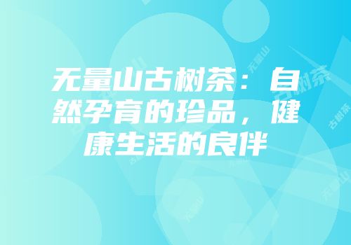 无量山古树茶：自然孕育的珍品，健康生活的良伴
