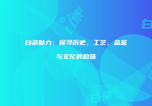 白茶魅力：探寻历史、工艺、品鉴与文化的韵味