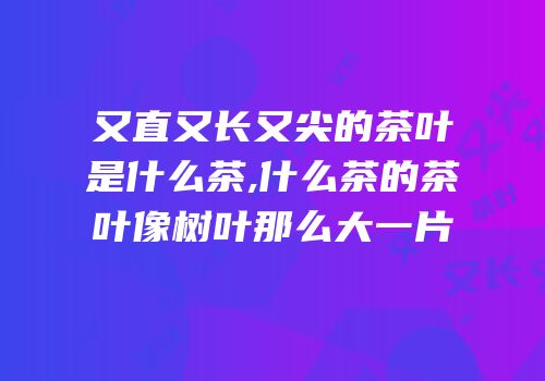 又直又长又尖的茶叶是什么茶,什么茶的茶叶像树叶那么大一片