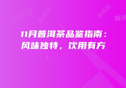 11月普洱茶品鉴指南：风味独特，饮用有方
