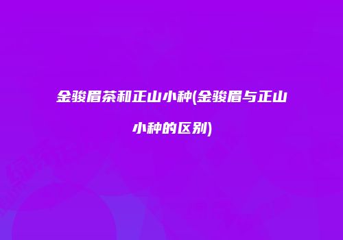 金骏眉茶和正山小种(金骏眉与正山小种的区别)