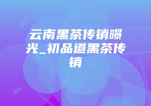云南黑茶传销曝光_初品道黑茶传销