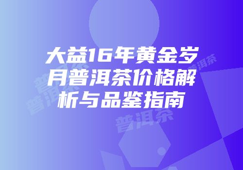 大益16年黄金岁月普洱茶价格解析与品鉴指南