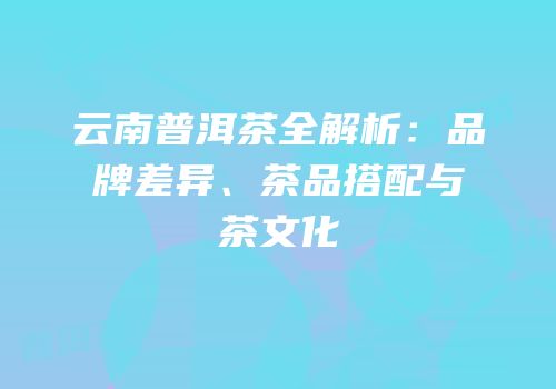 云南普洱茶全解析：品牌差异、茶品搭配与茶文化