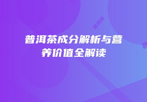 普洱茶成分解析与营养价值全解读