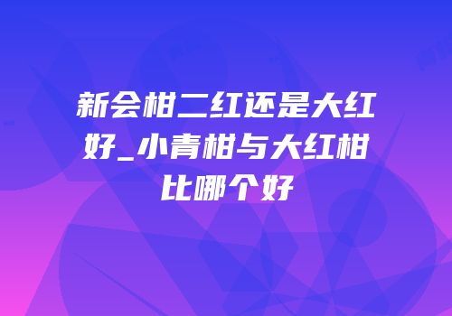 新会柑二红还是大红好_小青柑与大红柑比哪个好