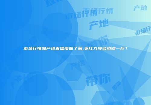 市场行情和产地直播带你了解,英红九号多少钱一斤？