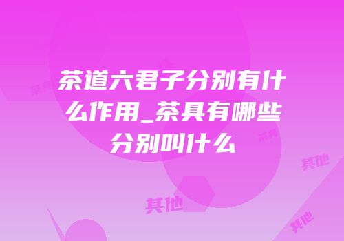 茶道六君子分别有什么作用_茶具有哪些分别叫什么