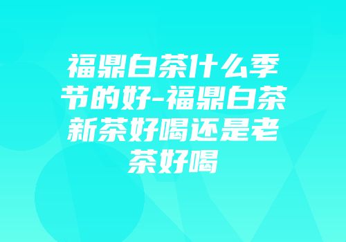福鼎白茶什么季节的好-福鼎白茶新茶好喝还是老茶好喝
