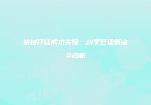 茶树扦插成功关键：科学管理要点全解析