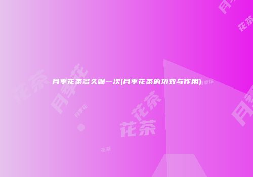 月季花茶多久喝一次(月季花茶的功效与作用)
