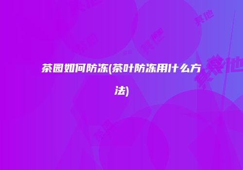 茶园如何防冻(茶叶防冻用什么方法)