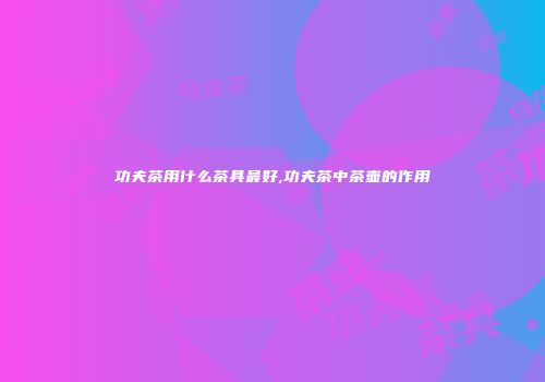 功夫茶用什么茶具最好,功夫茶中茶壶的作用